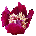 Shalina Avatar