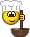 cook cook